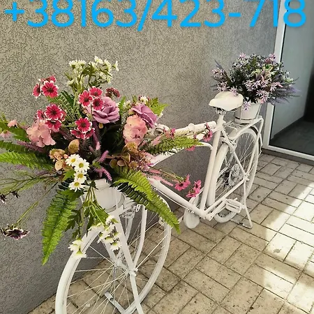 Lejlighed Olymp Kladovo